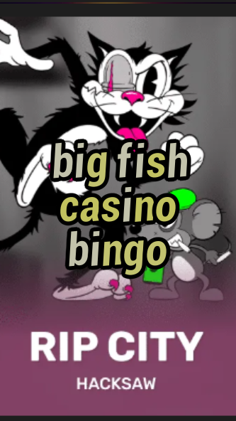 big fish casino bingo-3xn3u5udepyz9m9w5iat.com
