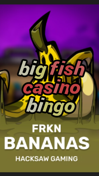 big fish casino bingo-3xn3u5udepyz9m9w5iat.com